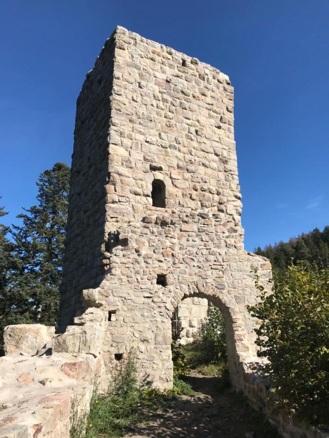 Landgasthof Alpenblick An Der Wutachschlucht Suedschwarzwald Löffingen Extérieur photo