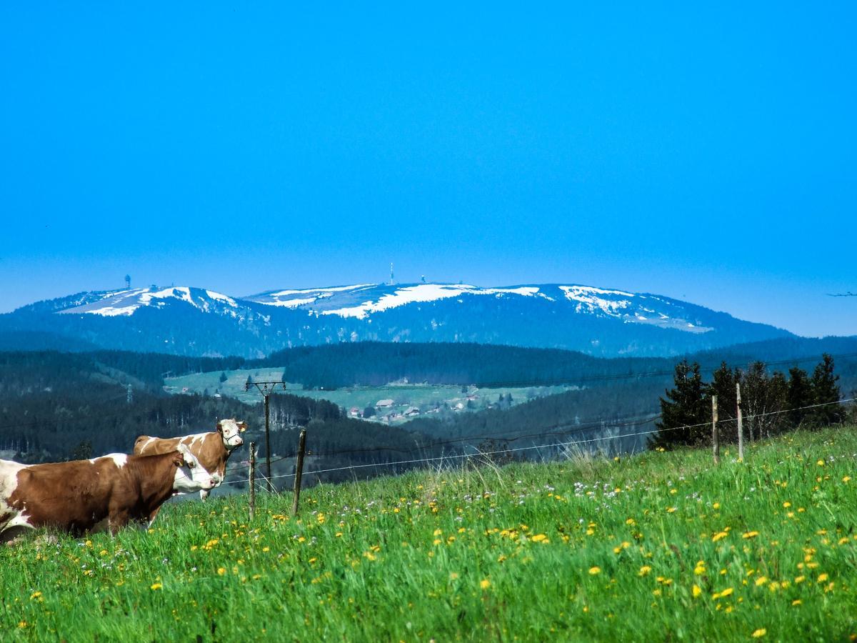 Landgasthof Alpenblick An Der Wutachschlucht Suedschwarzwald Löffingen Extérieur photo
